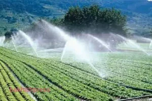 آب کشاورزی