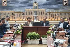 شهرداری