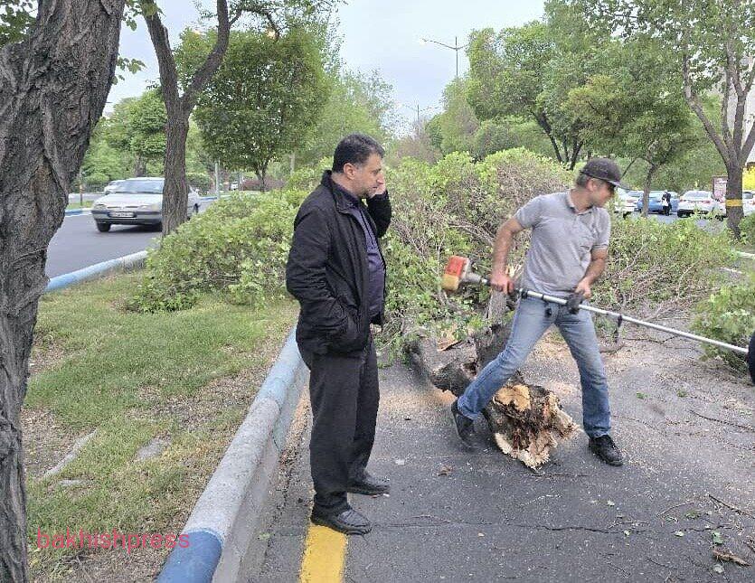 معاون محیط زیست و خدمات شهری شهردار: