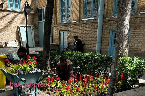 آغاز کاشت فاز دوم گلهای فصلی در معابر مرکزی شهر