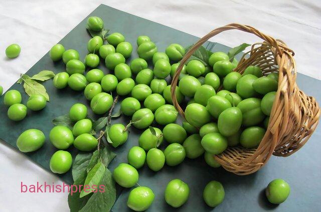آذربایجان شرقی با تولید ۳۳ هزار تن، قطب تولید گوجه سبز ایران است