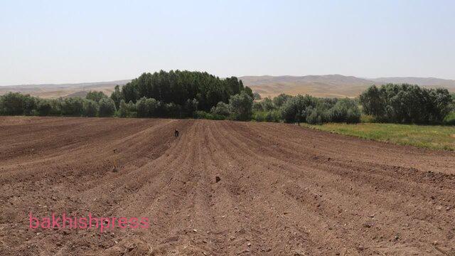 افتتاح ۳۵ هکتار سیستم آبیاری بارانی در بستان‌آباد