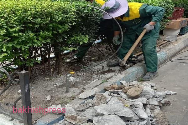 حذف موانع بتنی از باغچه های فضای سبز محدوده مرکزی شهر