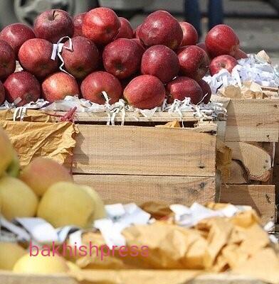 صادرات بیش از ۹۸۰۰ تن محصول کشاورزی و خشکبار از مراغه