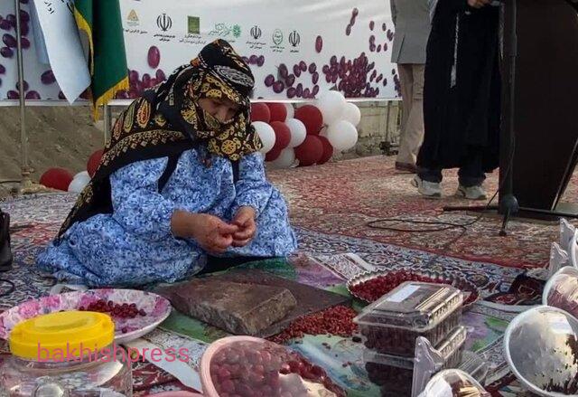 هشتمین جشنواره زغال‌اخته در شهرستان کلیبر برگزار شد
