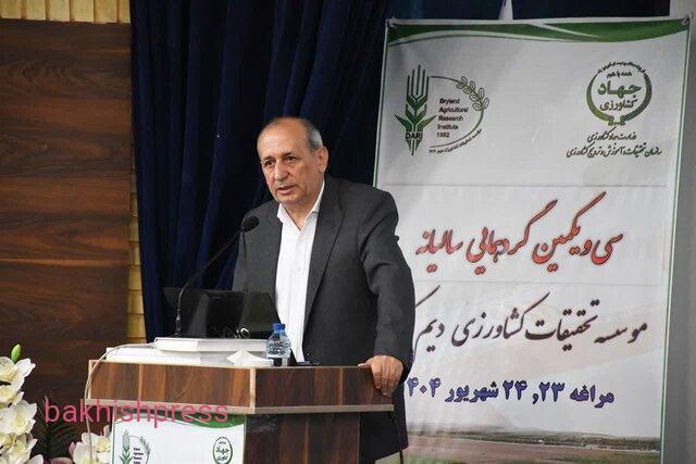 توسعه کشاورزی دیم؛ راهکار اصلی مقابله با خشکسالی در آذربایجان شرقی