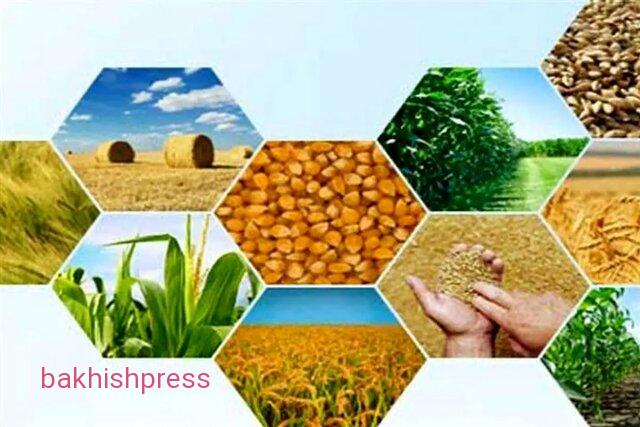 آخرین وضعیت تولیدات کشاورزی آذربایجان‌شرقی در پی خشکسالی و کاهش بارندگی