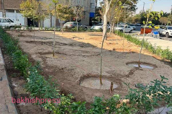 کاشت 1700 درخت، درختچه و گل در فاز دوم بوستان دمشقیه